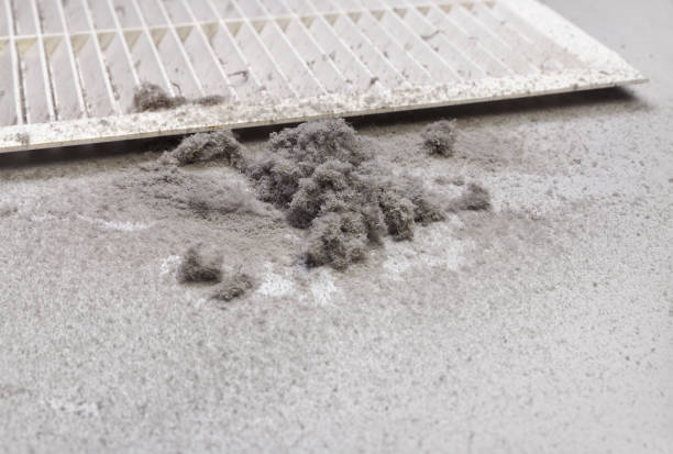 Best Duct Cleaning for Offices  in Wayne, MI