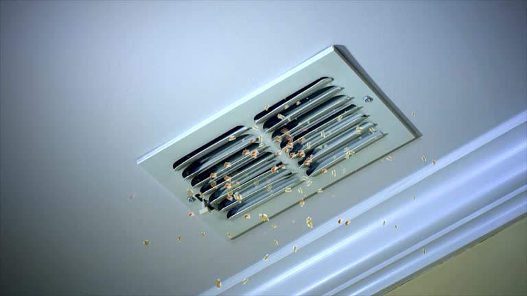 Best Best Air Duct Cleaning Company  in Wayne, MI