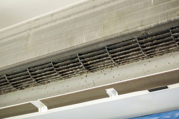 Air Quality Test in Wayne, MI