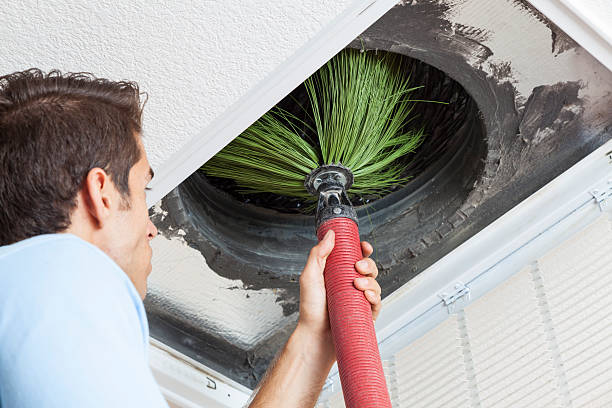 Best Affordable HVAC Duct Cleaning  in Wayne, MI